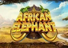 African Elephant