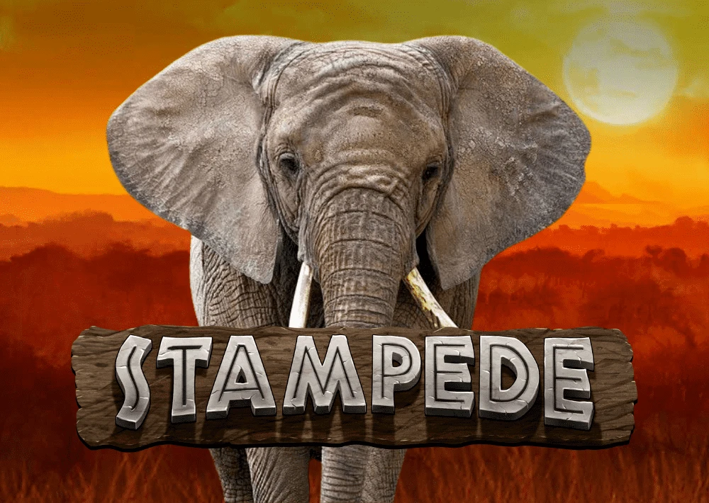 Stampede